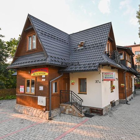 Wesola Chatka Zakopane - Krupowki 37A -Centrum Exteriör bild